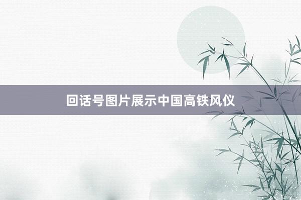 回话号图片展示中国高铁风仪