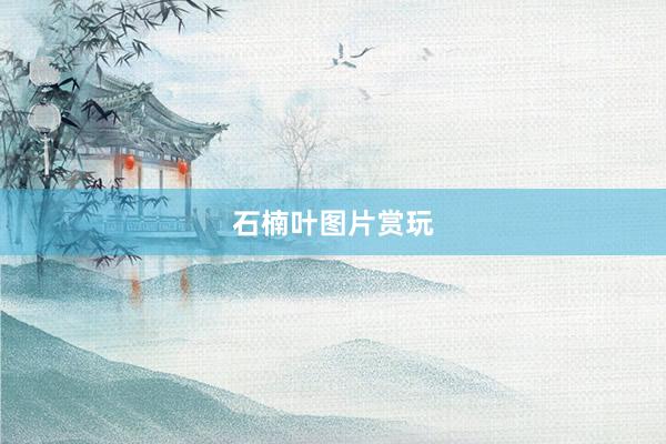 石楠叶图片赏玩