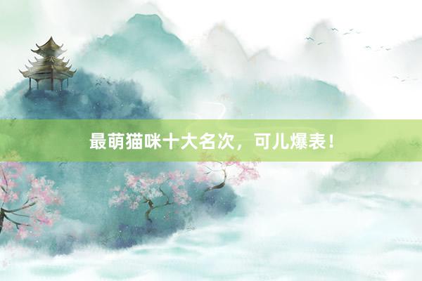 最萌猫咪十大名次，可儿爆表！